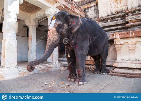 A Rebelião de Vijayanagara: Ascensão do Império Hindu Contra o Domínio Muçulmano